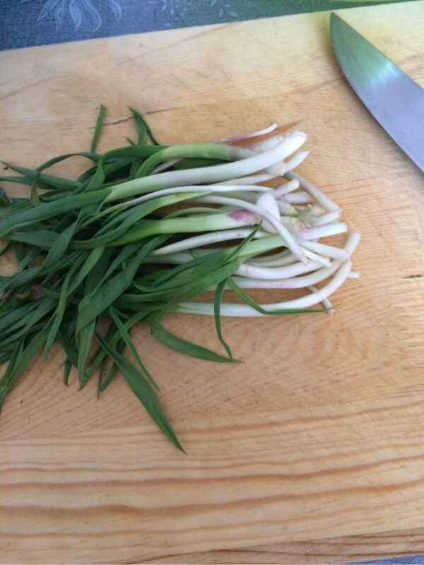 Tzatziki mit Knoblauch - Sarımsaklı Cacık